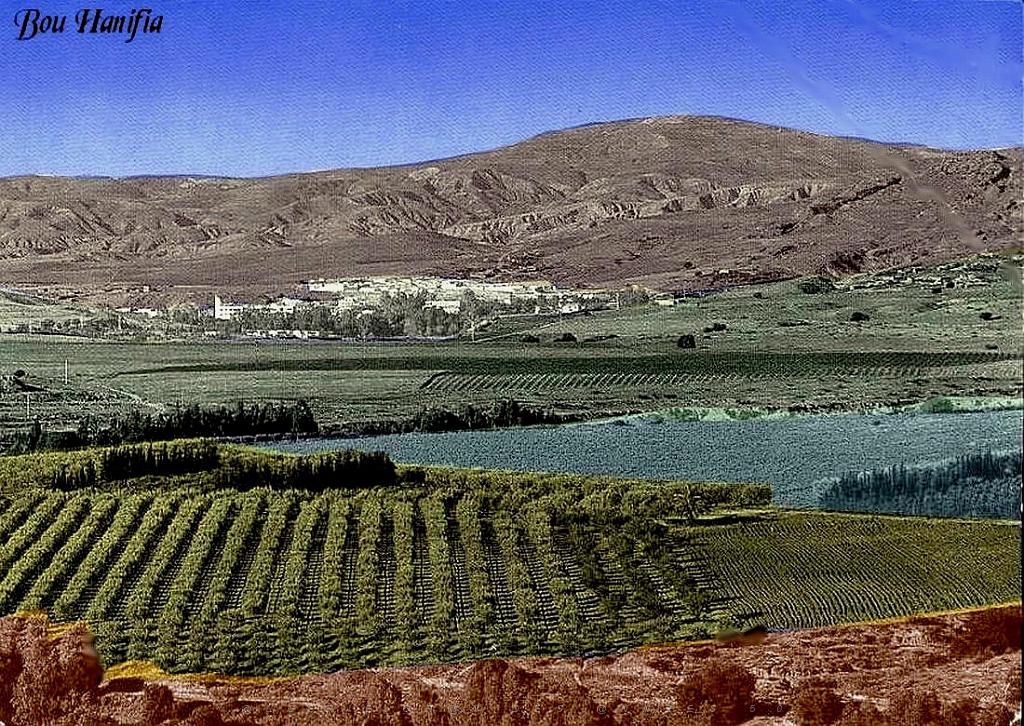 Bou hanifia 02.jpg